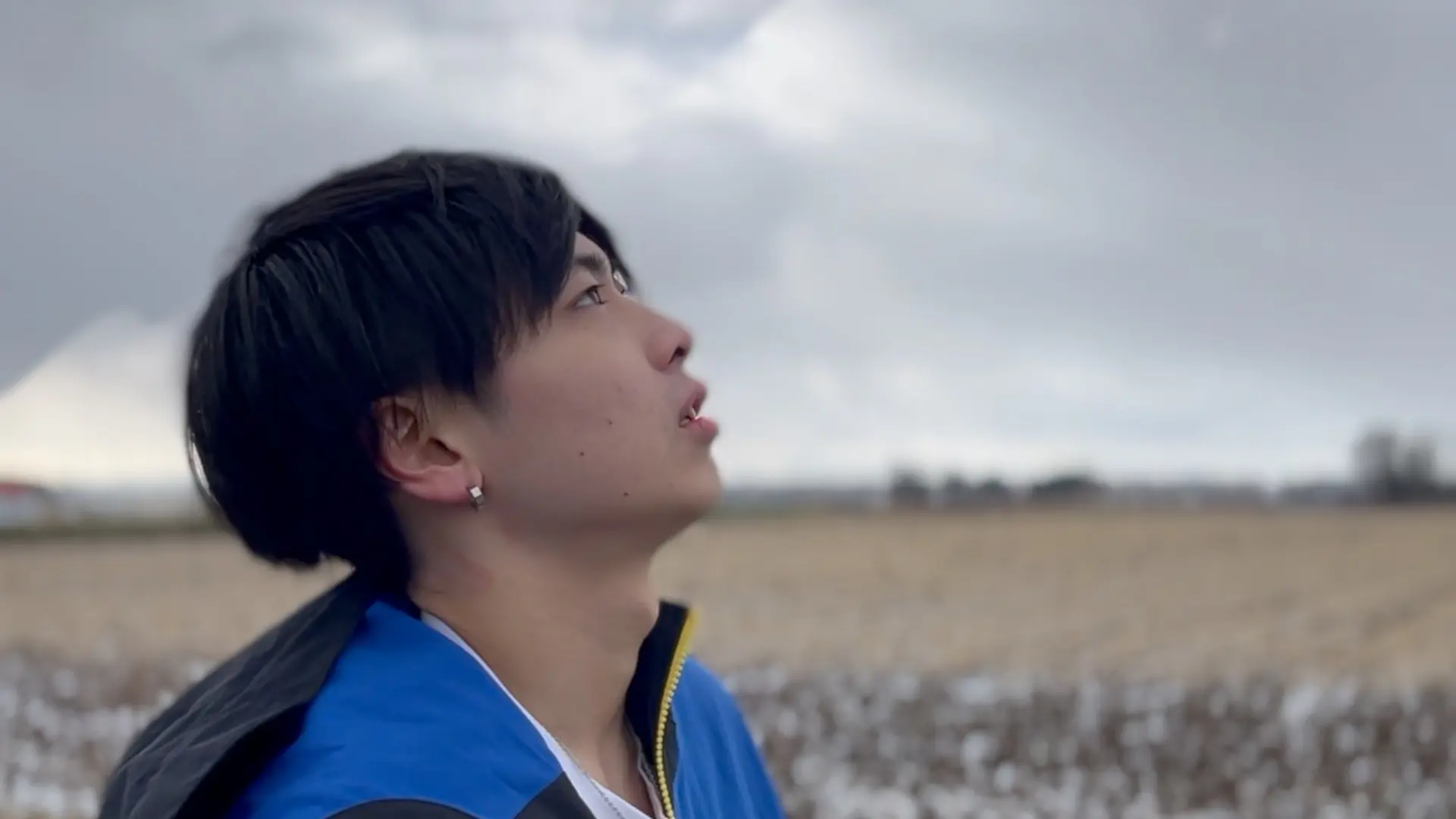 新曲 故郷 公開